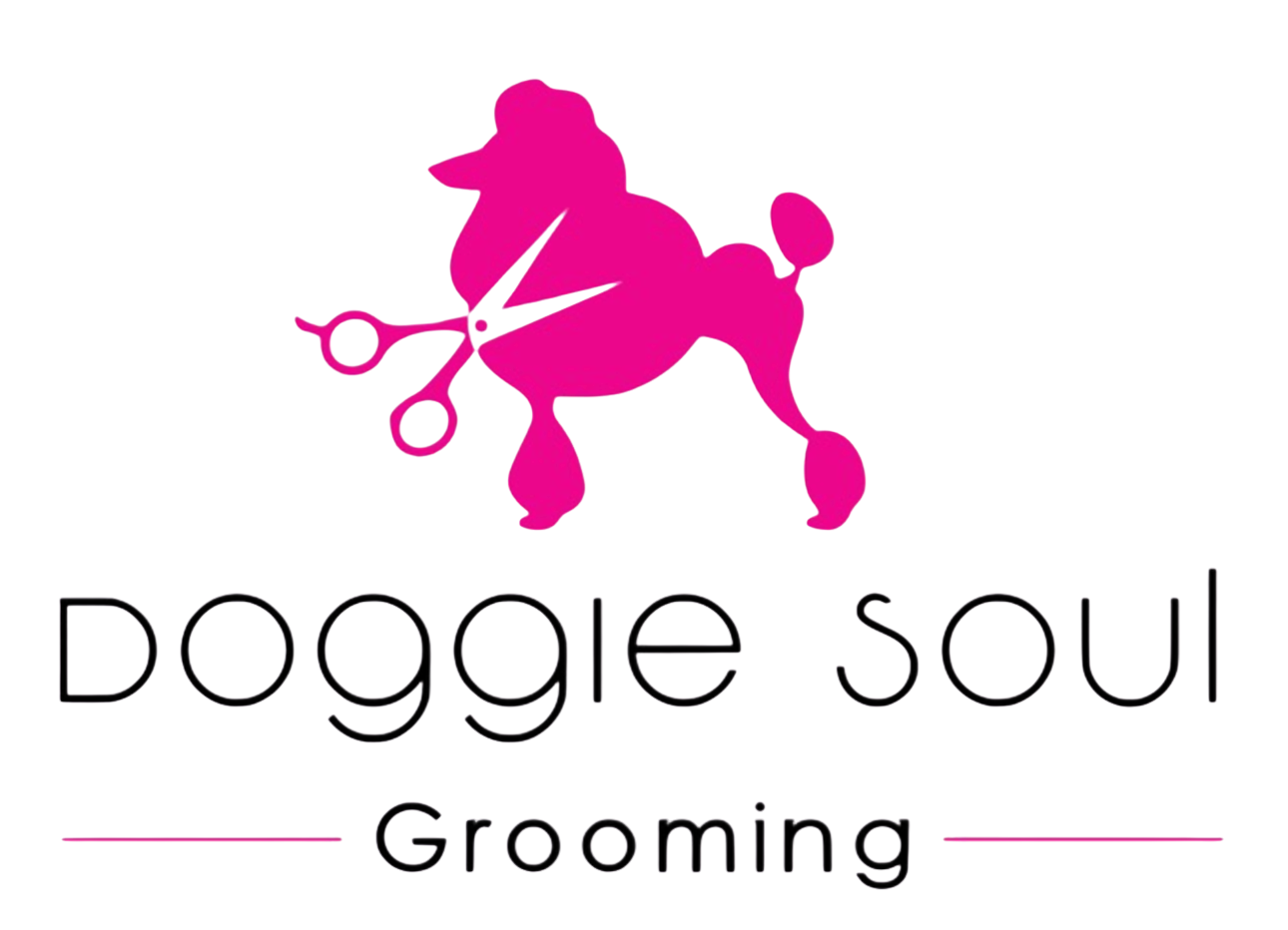 logo-nobg2